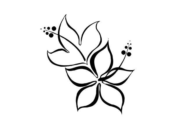 Цветы для рисования