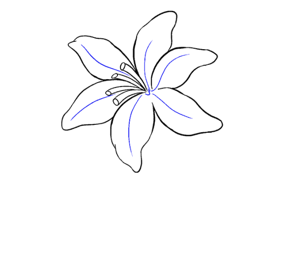 Узамбарская фиалка раскраска