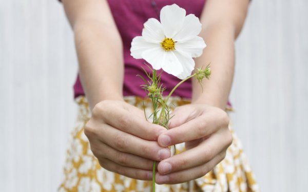 Дарит букет цветов