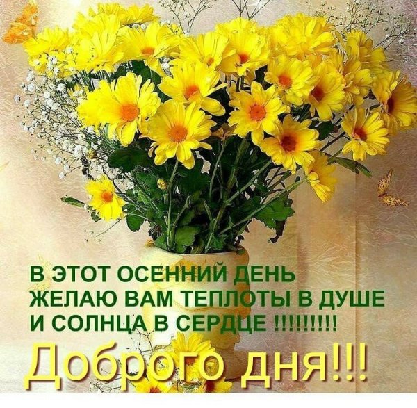 Открытка прекрасный день
