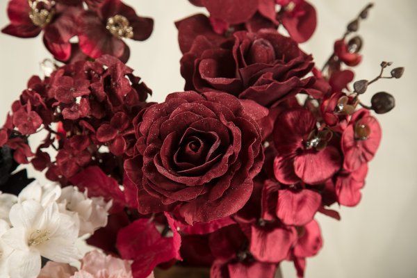 Пион дарк Пурпл