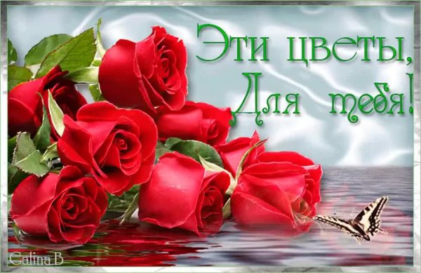 Открытки цветы для тебя