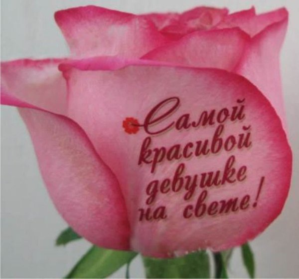 Цветы для самой красивой девушки