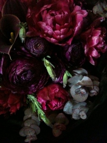 Пионы цвета марсала