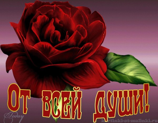 Розы с пожеланиями