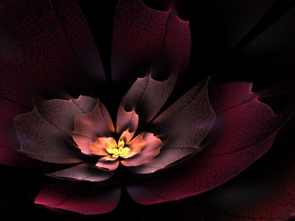 Пионы марсала