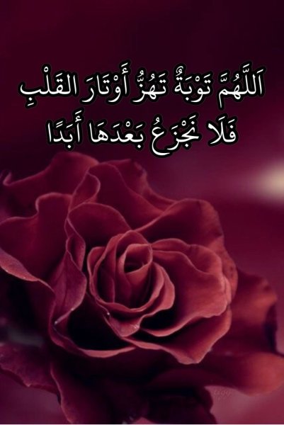 Космея atrosanguineus