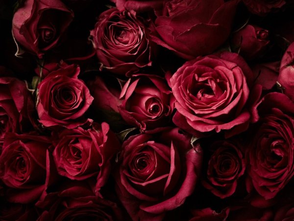 Бордовые цветочки