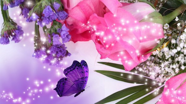 Весы CENTEK CT-2421 Orchid