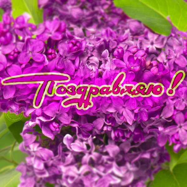 Надпись с днем рождения в цветах