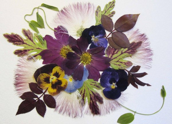 Ошибана (осибана)