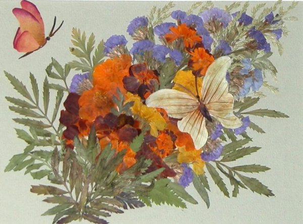 Ошибана (осибана)