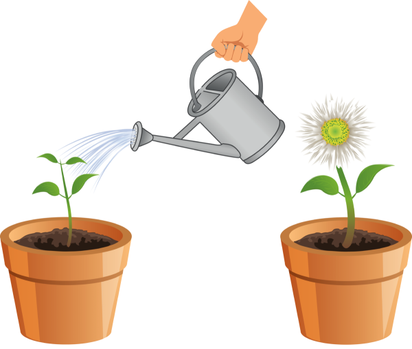 Полив растений для детей