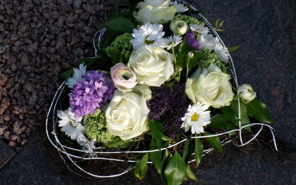 Берграс во флористике