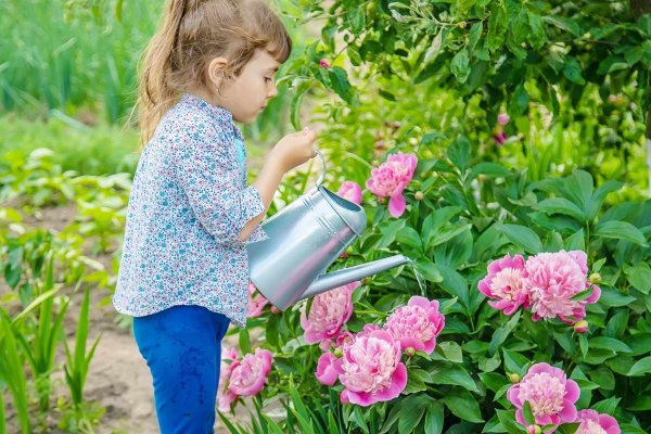 Дети поливают цветы в саду
