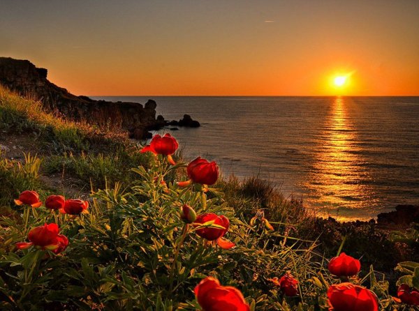 Доброе солнечное утро