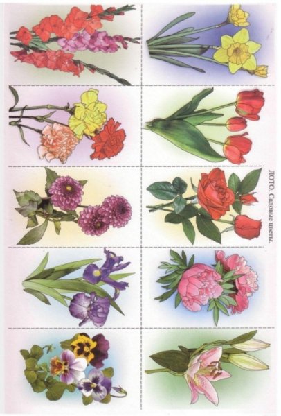 Карточки цветы