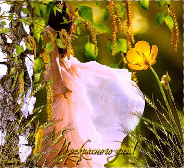 Доброго летнего вечера