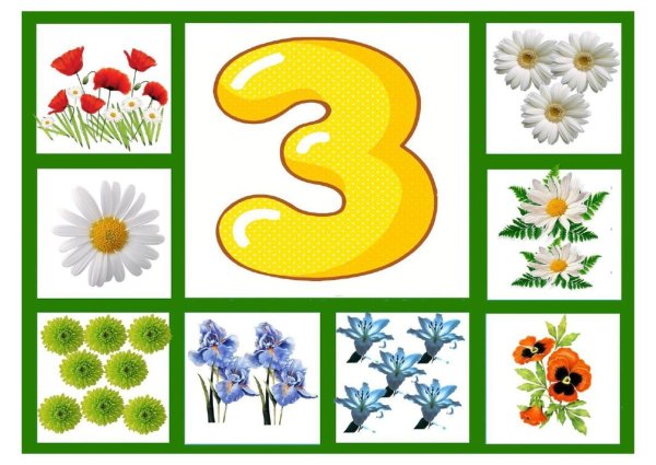 Дидактические цветы