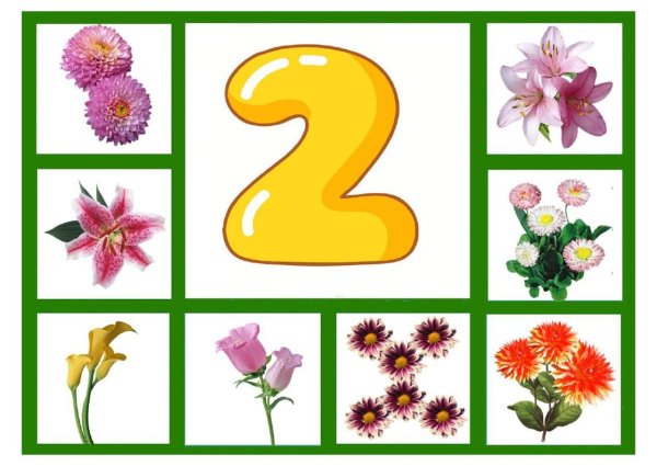 Цветочное лото для дошкольников