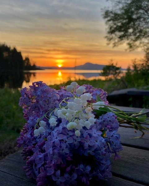 Удачного дня природа