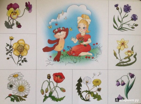 Лото для детей растения