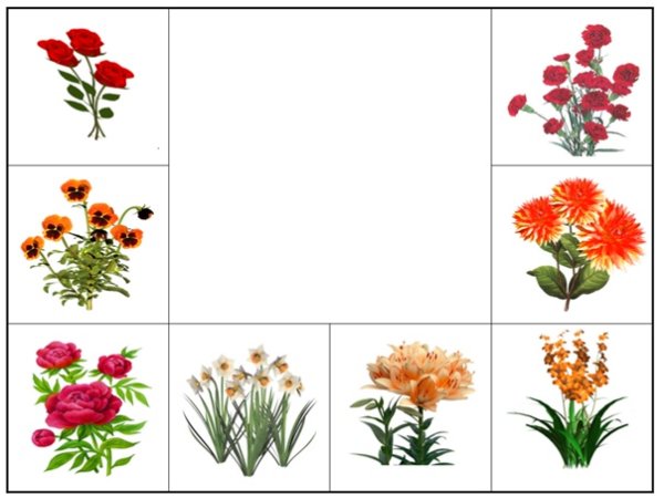 Лото "что где растет"