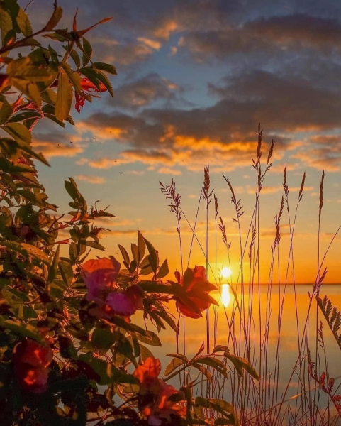 Спокойной ночи летом