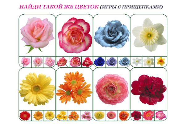 Дидактический материал цветы