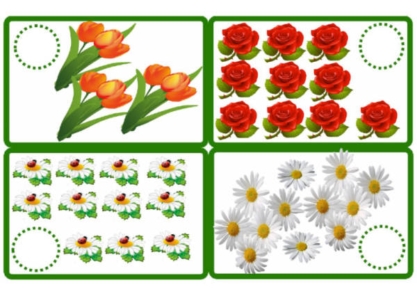 Дидактический материал цветы