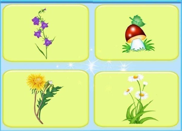 Дидактическая игра что лишнее