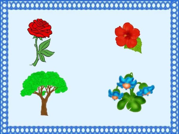 Дидактическая игра четвертый лишний