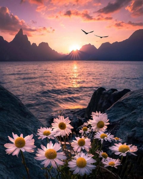 Открытки с добрым утром с водопадом