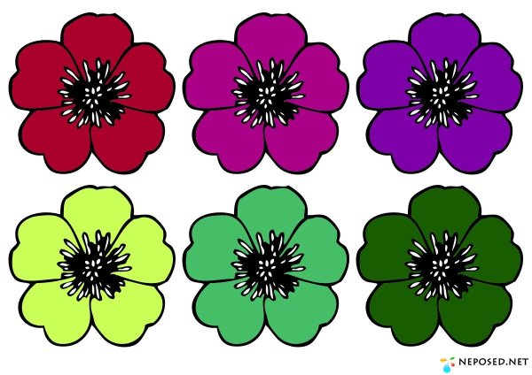 Цвета для малышей