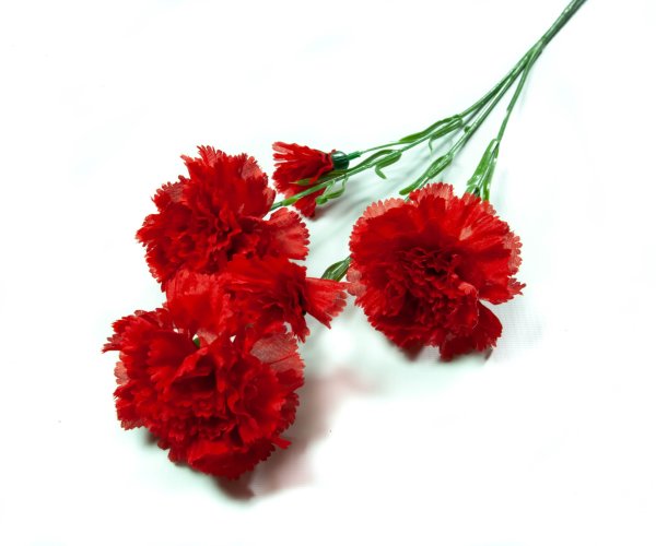 Гвоздика merletto Cherry