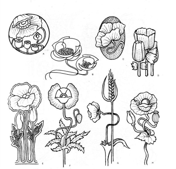 Стилизация растений