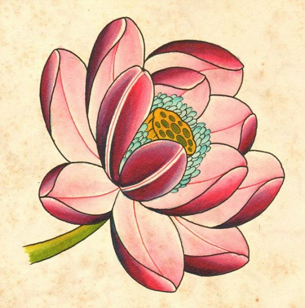 Лотус Япония тату эскиз