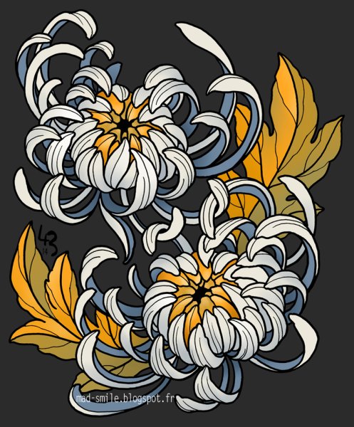 Японская Хризантема в векторе