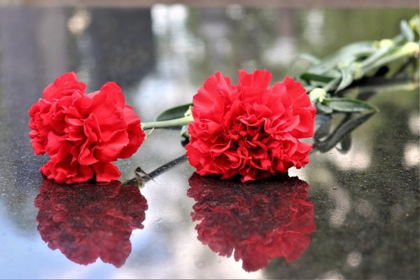 11 Апреля день освобождения узников фашистских концлагерей