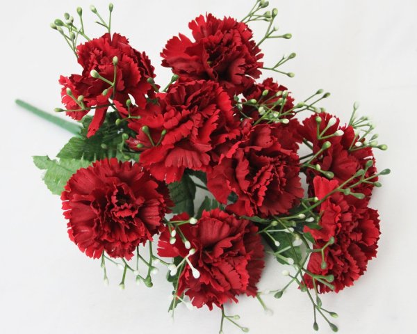 Dianthus Red гвоздика