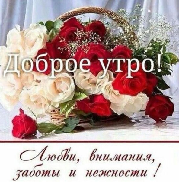 Букет роз с добрыми пожеланиями