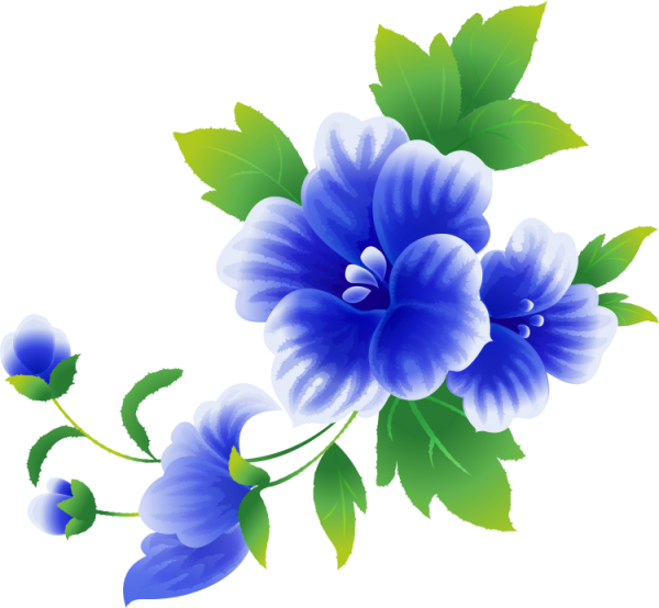 Цветы на прозрачной подложке