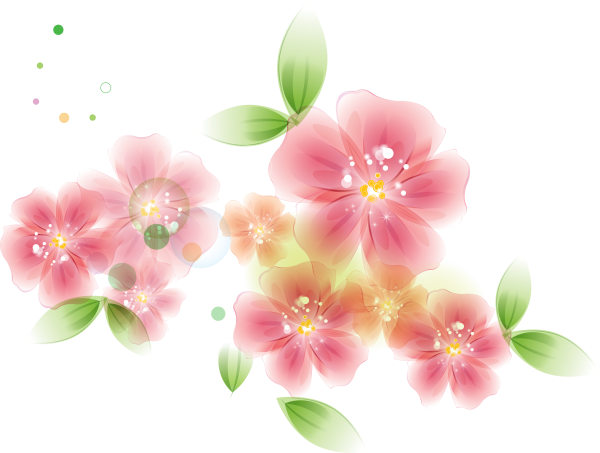 Цветы клипарт