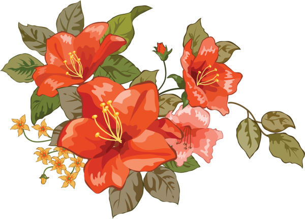 Цветы на прозрачном фоне