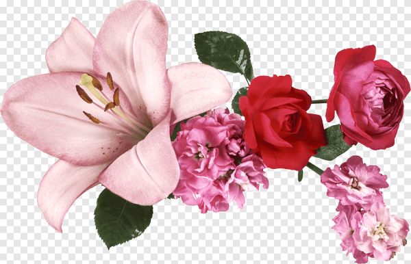 Веточка космеи