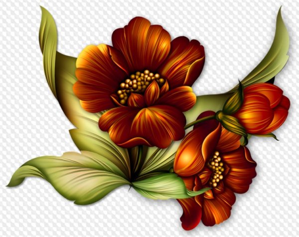 Цветы без фона