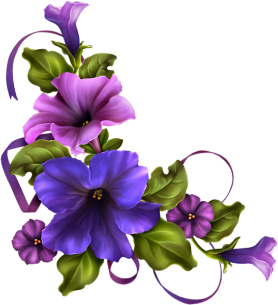 Цветы на прозрачном фоне