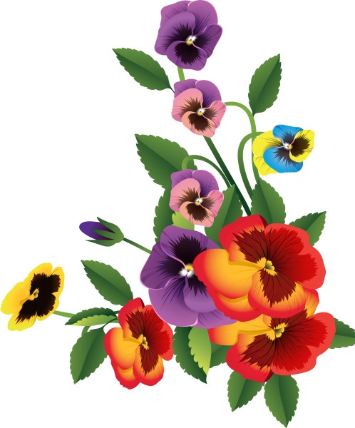 Цветы без фона