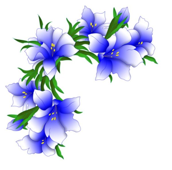 Акварельные цветы