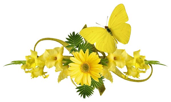 Красивые яркие цветы на прозрачном фоне